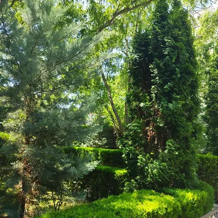 Apartman святая елена