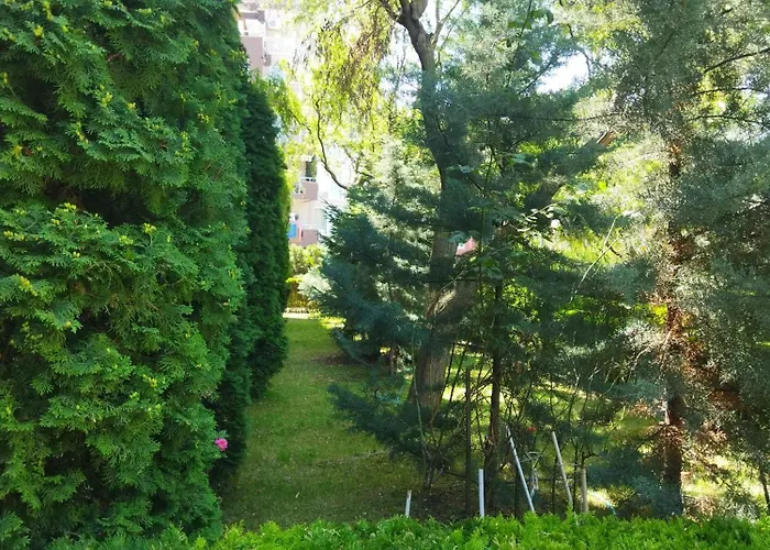 святая елена Apartamento Sunny Beach