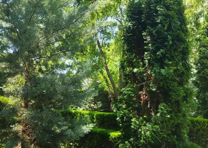 アパート святая елена